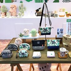 Oh! My HONEY Collection
