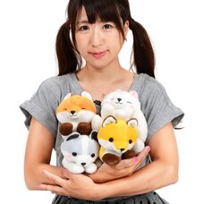 Kogitsune Konkon Curled Tail Fox Plush Collection (Standard)