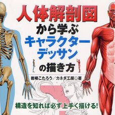 How to Draw Character Sketches by Learning from Anatomical Figures