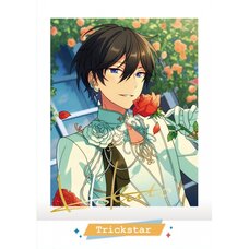 Pasha Colle Ensemble Stars! Idol Shot Ver. 6 Box Set