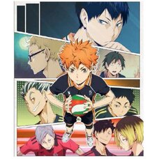 Haikyu!! Vol. 21 Limited Pre-Order Edition w/ Bonus Anime DVD