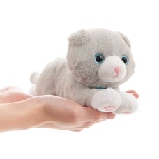 Dakko Neko Muunyan Cat Plush Collection (Standard)