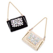 Raghbishwa Aurora Bijou Chain Pouch