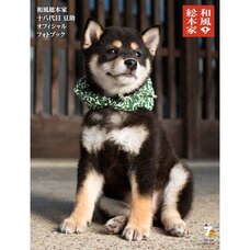 Wafu Sohonke 18 Daime Mamesuke Official Photo Book