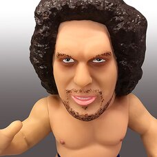 16d Collection: WWE André the Giant