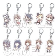 Rascal Does Not Dream of Bunny Girl Senpai Trading Acrylic Keychain Charms Box Set