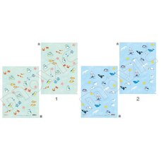 Natsume's Book of Friends Nyanko-sensei A4 Clear File Collection