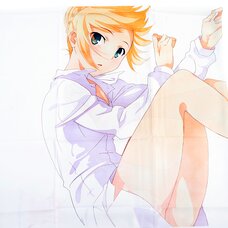 Fate/stay night: Unlimited Blade Works Saber Multi Cloth