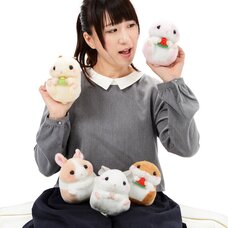 Coroham Coron Fun Friends Plush Collection (Standard)