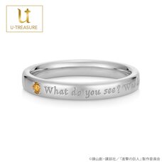 Attack on Titan Erwin Message Ring