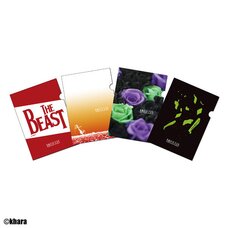 Eva Store Original Clear File Folder Set feat. Radio Eva