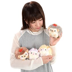 Harinezumi no Harin Flowers & Apples Hedgehog Plush Collection (Standard)