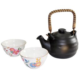 Hanawa Mino Ware Earthenware Teapot Set
