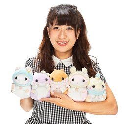 Coroham Coron Moko Moko Hamster Plush Collection (Standard)