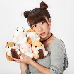 Coroham Coron Mori no Osanpo Hamster Plush Collection (Standard)