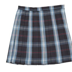 Teens Ever Navy Blue x Blue High School Uniform Skirt