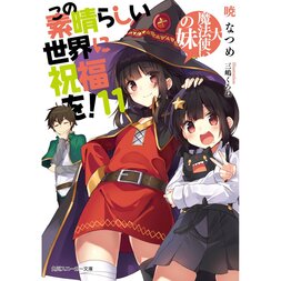 KonoSuba: God's Blessing on This Wonderful World! Vol. 11 (Light Novel)