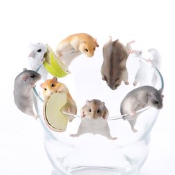 PUTITTO Hamster
