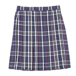 Teens Ever Navy Blue x White High School Uniform Skirt