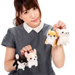 Muchimu Chihuahua Dog Plush Collection (Ball Chain)