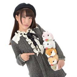 Coroham Coron Glutton Hamster Plush Collection (Standard)