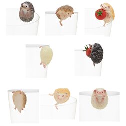 Putitto Hedgehog (Re-run)