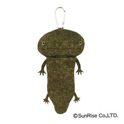 Hola! Salamanders