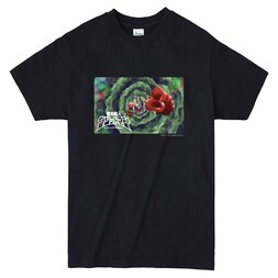 Japan Anima(tor) Expo T-Shirt #9: Lightning Superman Gridman