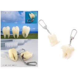 Butt Tooth Keychain Collection