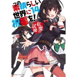 KonoSuba: God's Blessing on This Wonderful World! Vol. 14 (Light Novel)