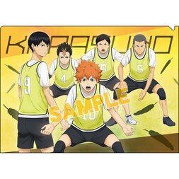 Haikyu!! Karasuno High vs Shiratorizawa Academy Clear File