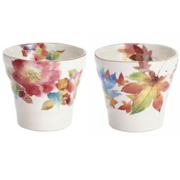Hana Ozato Mino Ware Rocks Cups