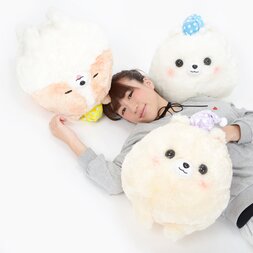 Pometan to Oyasumi Dog Plush Collection (Big)