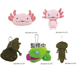 Hola! Salamanders
