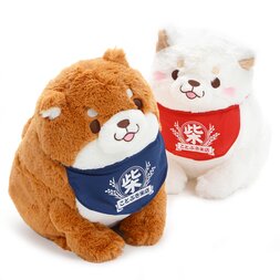 Chuken Mochi Shiba Motto Mofu Mofu Big Plush Collection