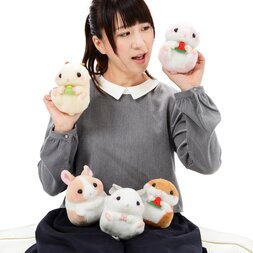 Coroham Coron Fun Friends Plush Collection (Standard)