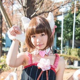 Comiket 89 Photo Report: Day 2
