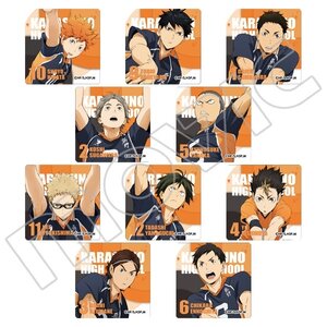 Haikyu!! Karasuno High vs Shiratorizawa Academy Metal Charm Collection Box Set