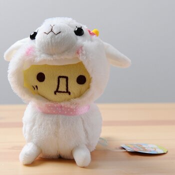 baby alpacasso