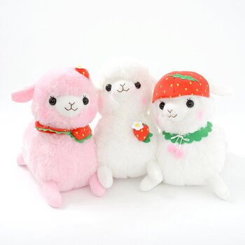 baby alpacasso