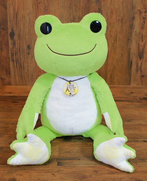 Pickles the Frog - Check Pickles Plushie (Medium)