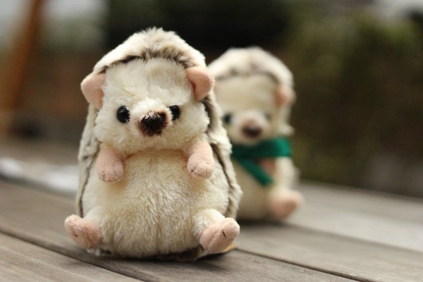 Sunlemon Plush Doll Fluffies Hedgehog Brown Size S TJN 