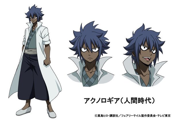 Characters appearing in Fairy Tail Anime