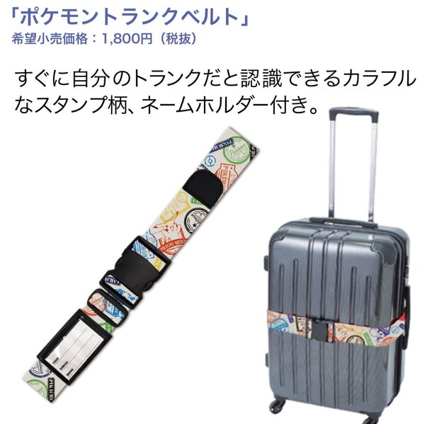 pokemon suitcase