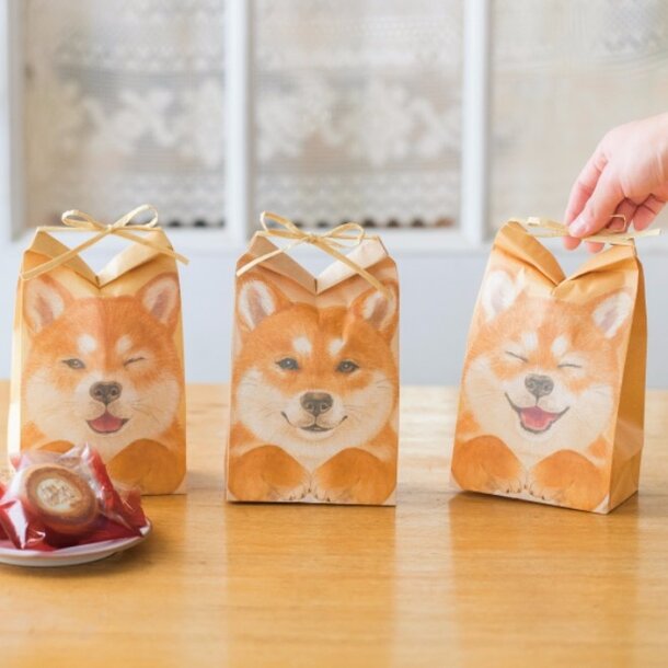 Japan Plumpy Cutie Animal Spoon & Fork Set(Gift Box) Shiba Dog