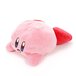 mochi kirby plush