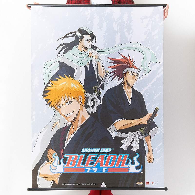 bleach episodes and movies in order