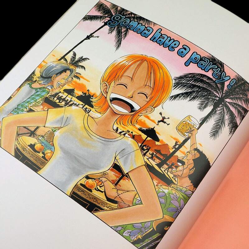ONE PIECE Kaizoku Musou Visual Art Illustration Book Ltd