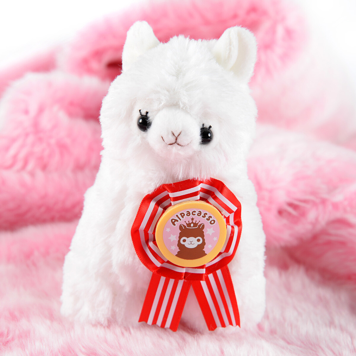 alpacasso collection