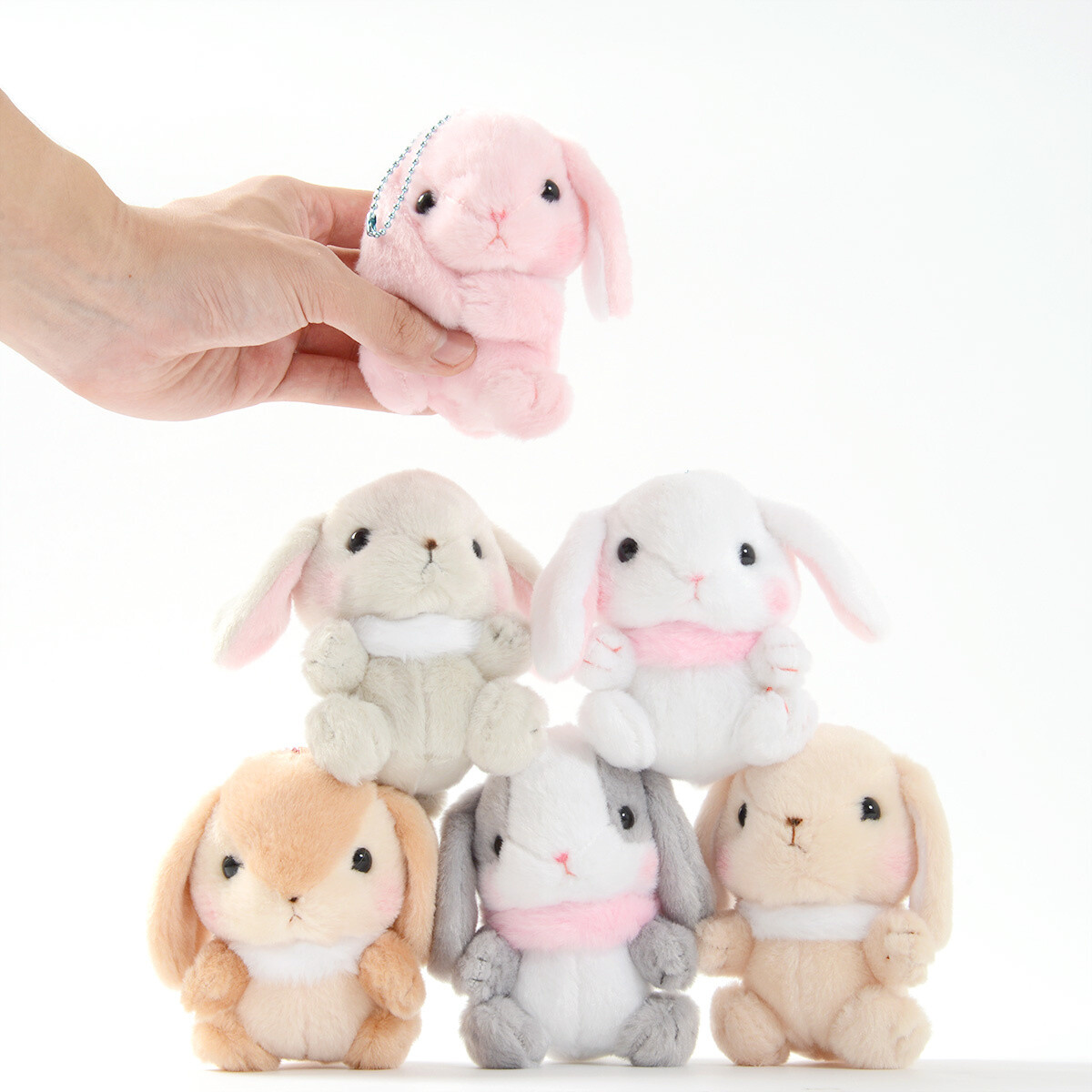 pote loppy